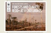 WWF LIVING FORESTS REPORT: CHAPTER 3 FORESTS ANd …d2ouvy59p0dg6k.cloudfront.net/downloads/living_forests_chapter_3.pdf · for ecosystems and people. These include cutting greenhouse