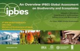 An Overview IPBES Global Assessment on Biodiversity and ... · Ch 1 Introduction Ch 2 Status & Trends: last 50 years Ch 3 Progress on internationally-agreed goals Ch 4 Looking into