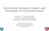 Aspirin, NSAIDS, and Prevention of Colon Cancer · Nurses’ Health Study (n=121,700) Health Professionals Follow -up Study (n=51,539) Study population . 1980 1982 1984 1986 1988
