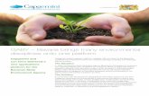 GABY – Bavaria brings many environmental disciplines onto ... · About Capgemini Wit ore than 25,00 eople in countries, Capgemini i one o the world’ oremost rovider o consulting,