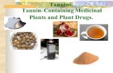 Tannins. Tannin Containing Medicinal Plants and Plant Drugs.cnc.nuph.edu.ua/wp-content/uploads/2017/11/Tannins.pdf · Active constituens. Galls contain 50-70% of the tannin, known