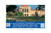 FOR RHEUMATOLOGISTS - BASIC LEVEL - Zagreb, October 30 · FOR RHEUMATOLOGISTS - BASIC LEVEL - Zagreb, October 30th st- November 1 , 2014. This course has been scientifically endorsed