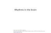 Rhythms in the brain - Neuroscience in Creier_Partea 1_AMZ.pdf · Rhythms in the brain Conf. univ. Ana-Maria Zagrean Disciplina Fiziologie si Neurostiinte Fundamentale, UMF Carol