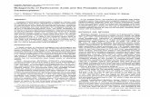 Mutagenicity of Hydroxamic Acids and the Probable ... · procedure. The hydroxamic acid was dissolved in tetrahydro-furan to which were added, with stirring, 1.1 equivalents of pyridine