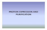 protein expression and purification slides expression... · PROTEIN EXPRESSION AND PURIFICATION Why do we decide to purify a protein? What do we known about the protein? What is the