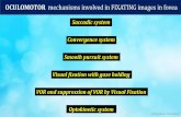 OCULOMOTOR mechanisms involved in FIXATING images in foveavertigoclinic.in/wp-content/uploads/2018/09/CLINICAL-PHYSIOLOGY-Dr... · Supranuclear Palsy Slowing of adducting saccades