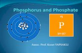 PowerPoint Presentation - Marmara Üniversitesimimoza.marmara.edu.tr/~kyapsakli/enve202/Lecture7_Phosphorus.pdf · Phosphorus Unlike other cycles of matter compounds, phosphorus cannot