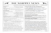 THE WHIPPET NEWS - americanwhippetclub.net Whippet News_0.pdf · by email at bwayne@copper.net — OK all you agility aficio-nados, John Hefferan has written a great article included