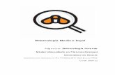 Entomología Medico-legal - digitum.um.es · Material docente elaborado por M.I. Arnaldos, M.D. García y J.J. Presa Curso 2010-2011 era consciente de la importancia de muchos animales