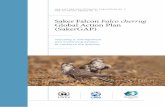 Saker Falcon Falco cherrug Global Action Plan (SakerGAP) · Saker Falcon Falco cherrug Global Action Plan (SakerGAP), including a management and monitoring system, to conserve the