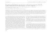 Incidental finding of uterine adenomyosis in a bitch with ... · Incidental finding of uterine adenomyosis in a bitch with reproductive disorders: a case report C.C. Perez-Marin,