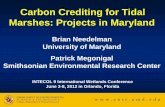 Carbon Crediting for Tidal Marshes: Projects in Maryland B... · Carbon Crediting for Tidal Marshes: Projects in Maryland Brian Needelman University of Maryland Patrick Megonigal