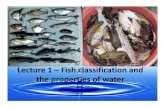 Lecture 1 – Fish classification and the properties · expa sinus It is not about looks. ... Three extant (still living and antonym of extinct) groups of fishes: 1. Jawless fishes
