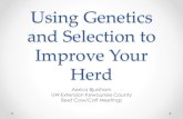 Using Genetics and Selection to Improve Your Herd · Simmental and SimAngus API is All-Purpose Index. This is the expected average performance of progeny of Simmental bulls used on