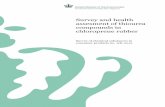 Survey and health assesment of thiourea compounds in ... · Survey and health assesment of thiourea compounds in chloroprene rubber Survey of chemical substances in consumer products
