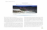 Blown-down and Seared Zones - University of Washington 04.pdf · Blown-down and seared zones on Mount St. Helens . The blast zone has three regions. Within 10 km of the crater, most