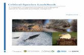 Critical Species LookBook - groundwaterresourcehub.org · Groundwater is critical for California’s natural ecosystems, from plants and animals found in mountain and desert springs