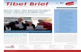 Tibet Brief · November/December 21 Tibet Brief A report of the International Campaign for Tibet 3 In the last two months, several discussions about Tibet have taken place in the