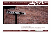 Blood Alley Square/Trounce Alley Redesign public ... · Question 4: In concept 2, the grade difference between 33 W Cordova and Trounce Alley is broken up by two smaller flights of