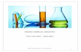 INDIAN CHEMICAL INDUSTRY Five Year Plan 2012-2017 Five Year Plan-Yr 2011_0.pdf · resources front, adequate educational infrastructure would be required to impart vocational training