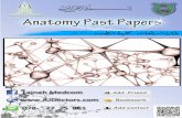 Anatomy And Embryology Midterm Exam - Past Papersmsg2018.weebly.com/uploads/1/6/1/0/16101502/ule.pdf · Anatomy And Embryology Midterm Exam - Past Papers 1 | P a g e 1. All of the