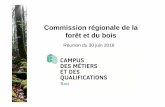 Commission régionale de la forêt et du boisdraaf.grand-est.agriculture.gouv.fr/IMG/pdf/CRFB_Point4_Campus_cle8f8e15.pdf · L’ensemble constituera le « Catalogue de l’offre