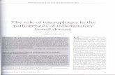 PROGRESS IN THE PATHOGENESIS OF IBOdownloads.hindawi.com/journals/cjgh/1993/658920.pdf · PROGRESS IN THE PATHOGENESIS OF IBO The role of macrophages in the pathogenesis of inflammatory