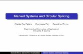 Marked Systems and Circular Splicingmath.unipa.it/fici/pdf/Nizza2007marked.pdfCOMPUTING STANDARD NATURAL ALPHABET {0,1} ALPHABET {A,C,G,T} CONCATENATION DNA SPLICING TURING MACHINES