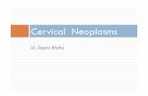 Cervical neoplasms - gmch.gov.in lectures/Pathology/Cervical neoplasms.pdf · Obstructive uropathy, pain, hematuria, or rectal bleeding in advanced stages. Squamous cell carcinoma.