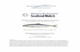Atlantic sardine and European anchovy - Seafood Watch · Atlantic sardine and European anchovy . Sardina pilchardus and Engraulis encrasicolus ©Scandinavian Fishing Yearbook / .