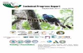 PCCP Technical Progress Report - philippinecockatoo.org and articles... · renowned environmental singer/advocate Joey Ayala in Dumaran and the launching of the Palawan Hornbill as