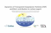 Dynamics of Transparent Exopolymer Particles (TEP) and ... · Dynamics of Transparent Exopolymer Particles (TEP) and their contribution to carbon export Gianfranco Anastasi (UEA/Cefas),