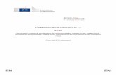 draft regulation - rolling stock TSIinmetro.gov.br/barreirastecnicas/pontofocal/textos/regulamentos/EEC_N... · the rolling stock sub-system of the trans-European high speed rail
