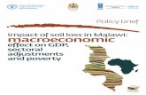 Policy brief Impact of soil loss in Malawi: macroeconomic · Both direct and indirect impacts are calculated for three scenarios that assume three different increases in soil loss