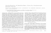 Neutralization of Epstein-Barr Virus by Nonimmunedm5migu4zj3pb.cloudfront.net/manuscripts/110000/110696/JCI82110696.pdf · Neutralization of Epstein-Barr Virus by Nonimmune HumanSerum