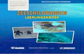 support protected area management and to build capacity ...dcnanature.org/.../uploads/2013/07/STCB-Zeeschildpadden-Leerlingenboek.pdf · Schildpadden ademen door longen. Bouw van