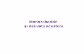 Monozaharide · Monozaharide din natura Monozaharid Sursa L-Arabinoza Tărâțe de grâu Guma mesquite D-riboza Toate celulele vii Componentă a acidului ribonucleic D-xiloza coceni
