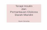 Terapi Insulin dan Pemantauan Glukosa Darah Mandiriinfo.apc.uns.ac.id/wp-content/uploads/2018/09/DM-solo-1918-ppt.pdf · *Obat yang terdaftar, pemilihan dan penggunaannya disarankan