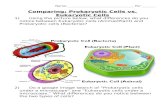 lewbiology.files.wordpress.com  · Web viewComparing: Prokaryotic Cells vs. Eukaryotic Cells. Using the picture below, what differences do you notice between Eukaryotic cells (Animal/Plant)