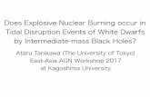 Does Explosive Nuclear Burning occur in Tidal Disruption ...ea.c.u-tokyo.ac.jp/astro/Members/tanikawa/slide/slide171204.pdf · Does Explosive Nuclear Burning occur in Tidal Disruption