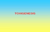 TOXIGENESIS - qu.edu.iq¯.منال.pdf · Endotoxins Endotoxins are: Toxic to most mammals. They are strong antigens but they seldom elicit immune responses which give full protection
