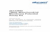 ab113852 TMRE Mitochondrial Membrane Potential Assay Kit TM… · ab113852 TMRE Mitochondrial Membrane Potential Assay Kit 5 GENERAL INFORMATION 7. MATERIALS REQUIRED, NOT SUPPLIED