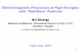 Electromagnetic Processes at High-Energies · 1 Electromagnetic Processes at High-Energies with “Half-Bare” Particles N.F.Shul’ga Akhiezer Institute for Theoretical Physics