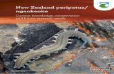 New Zealand peripatus/ngaokeoke: current knowledge ... · New Zealand peripatus 3 The original aim of this document was to provide information about peripatus in the Caversham Valley,