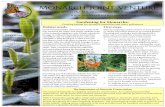 Monarch Joint Venture - United States Fish and Wildlife ... · Monarch Joint Venture Partnering across the U.S. to conserve the monarch migration Gardening for Monarchs: Creating