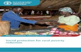 Social Protection for Rural Poverty Reduction · 2.3.2 Social inclusion 31 2.3.3 Environmental sustainability 31 SOCIAL ... Consolidated framework of social protection for rural poverty