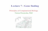 Lecture 7 : Gene finding · • Train them separately. Combined Model . Exon Model . Intron Model . Splice side models There are statistics for consensus for donor and acceptor sides