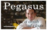 Pegasus - basictableware.combasictableware.com/media/pdf/pegasus-brochure-2016.pdf · At Pegasus we have made it our mission to produce the finest quality chef clothing possible.