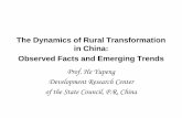The Dynamics of Rural Transformation in China: Observed ... · The Dynamics of Rural Transformation in China: Observed Facts and Emerging Trends Prof. He Yupeng Development Research