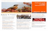 Hollybrook Lodge - stjames.ie Lodge... · HOLLYBROOK LODGE NEWSLETTER | Issue 6 2 The Robin The Robin also known as a “Spideog” in Irish is the one of the most common birds seen